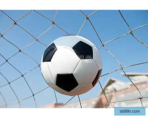 基于各支球队进球路线示意图的进攻方式全景解析与对比研究分析框